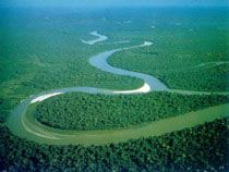 Amazonas