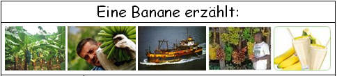 Bananenreise Bananenreise