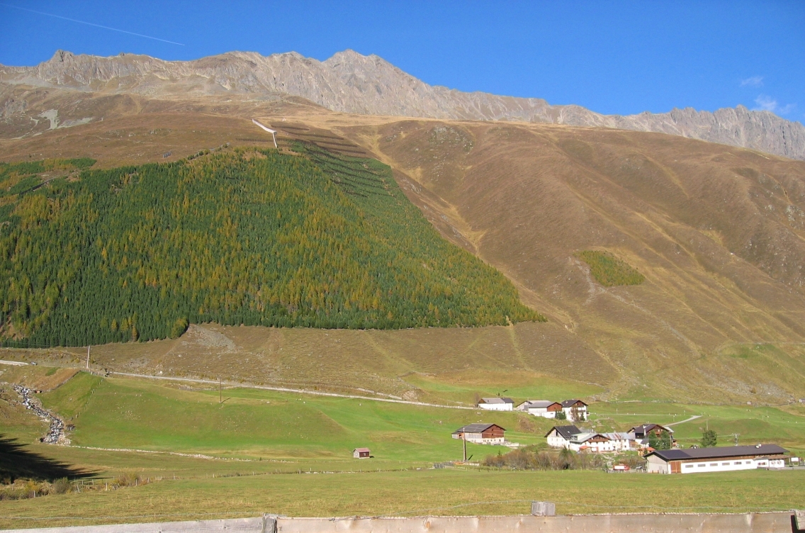 bannwald_riegler