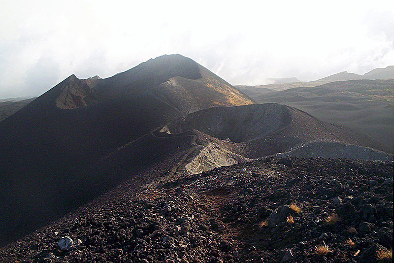 kamerun_cc_amcaja