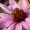 Nutzerbild von Hildegard Hirzinger