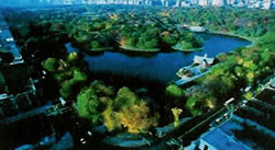 central park