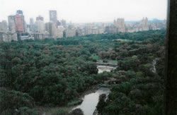 central park