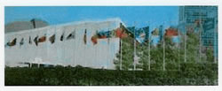 united nations
